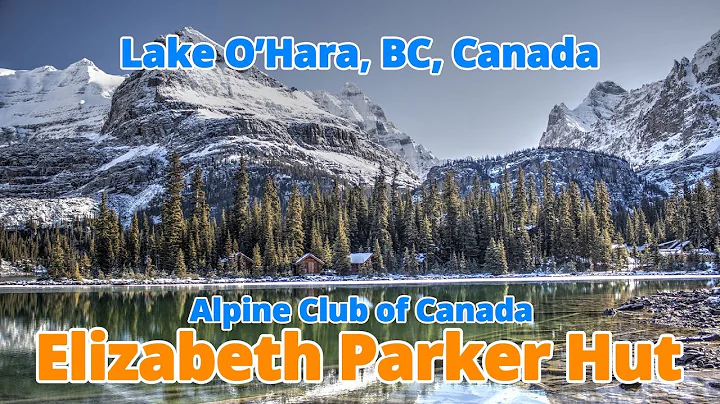 Elizabeth Parker Photo 41