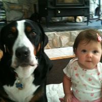 Mark Gaddy Photo 7