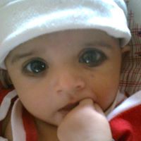 Shailesh Lad Photo 2