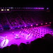 David Mccolgan Photo 16