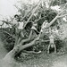 Donna Milton Photo 31