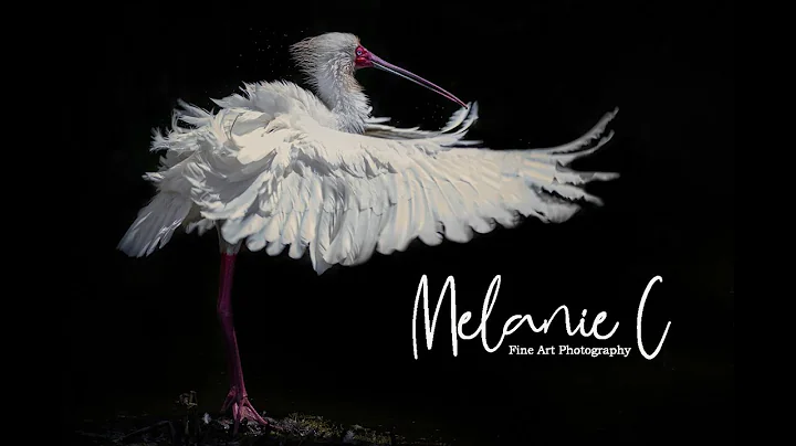 Melanie Cornelius Photo 18