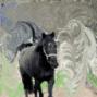 Melissa Kearns Photo 26