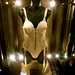 Paul Ciccone Photo 18