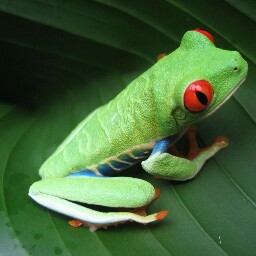 Michael Buettner Photo 15