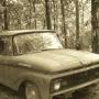 Joseph Mccann Photo 28