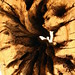 Jonathan Harel Photo 20