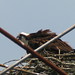 Richard Hartwell Photo 36