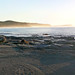 Dawn Dudley Photo 31
