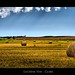 Clare Edwards Photo 35