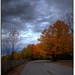Sam Ewing Photo 37