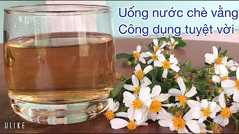 Che Vang Photo 17