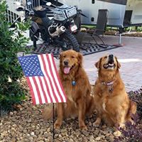 Sherry Herbert Photo 7