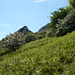 Darren Dykes Photo 15