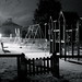 Robin Messer Photo 35