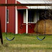 Judy Bales Photo 31