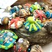 Julie Shanks Photo 37