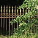 Janet Erskine Photo 32