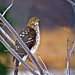 Kathy Cooper Photo 42