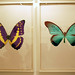 Paul Hirst Photo 38