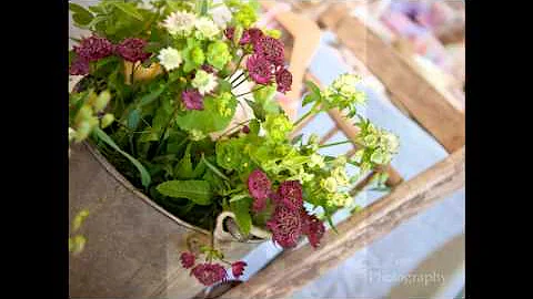 Sally Crane Photo 27
