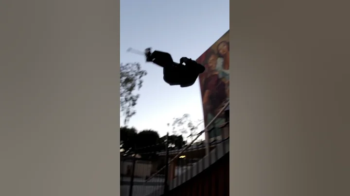 Tyler Phillips Photo 34
