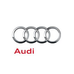 Michael Audi Photo 9