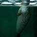 Michelle Seal Photo 35