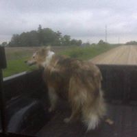 Darryl Meyer Photo 5
