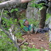 Scott Snelling Photo 25