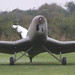 Peter Klemm Photo 27