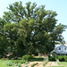 Roy Burke Photo 35