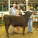Andrea Canfield Photo 23