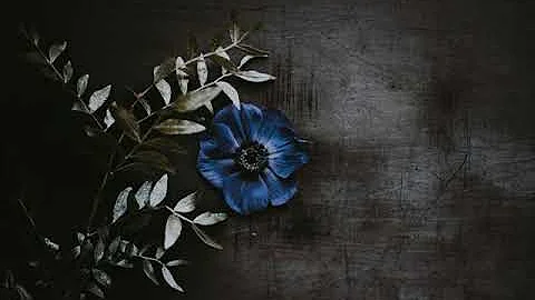 Maria Daniels Photo 38