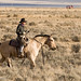 Jack Moorman Photo 30