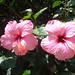 Linda Xavier Photo 30