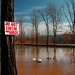 Wade Clarke Photo 28
