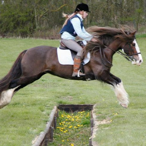 Anna Gillespie Photo 14