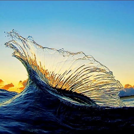 Julie Broughton Photo 10