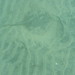 Ray Rounds Photo 20