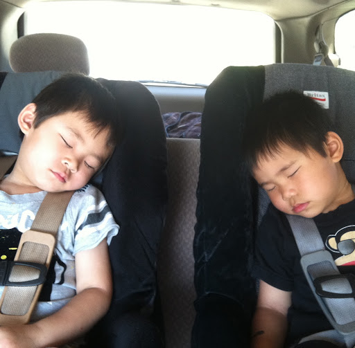 Paul Moy Photo 9