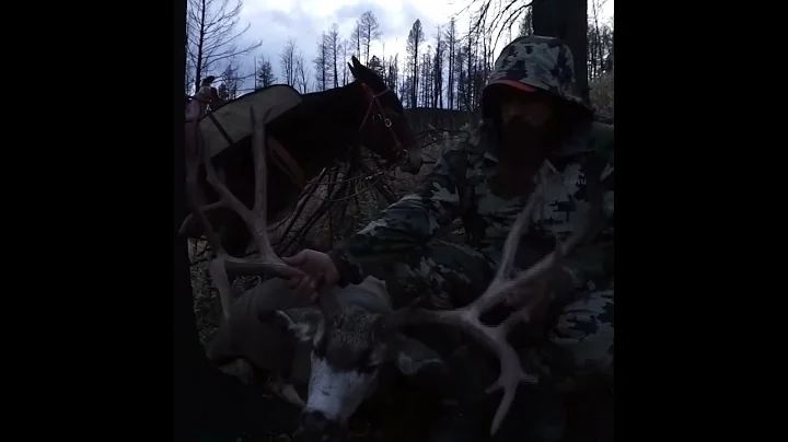 Travis Hobbs Photo 32