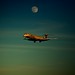 Douglas Fuller Photo 33