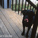Lucy Vasquez Photo 35