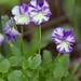 Rebecca Plant Photo 32