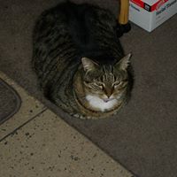 Steve Hawkes Photo 1