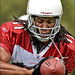 Larry Fitzgerald Photo 47