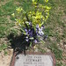 Evan Stewart Photo 39