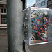 Thomas Blom Photo 37