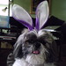 Bunny Phillips Photo 20